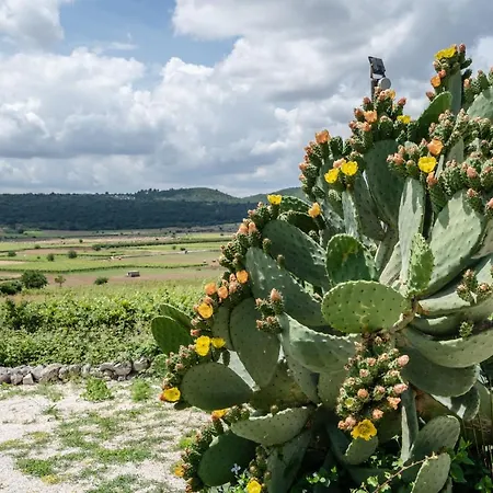 Dimora Rutica Frühstückspension Selva Di Fasano